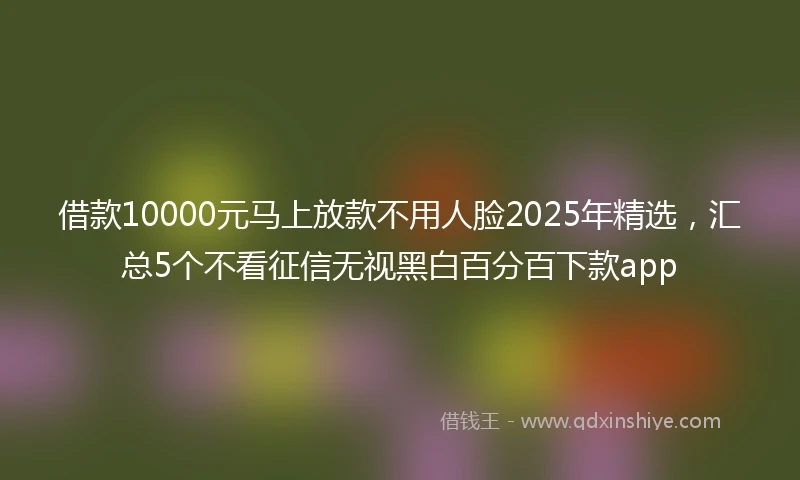 借款10000元马上放款不用人脸2025年精选，汇总5个不看征信无视黑白百分百下款app