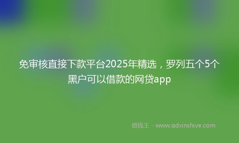 免审核直接下款平台2025年精选，罗列五个5个黑户可以借款的网贷app