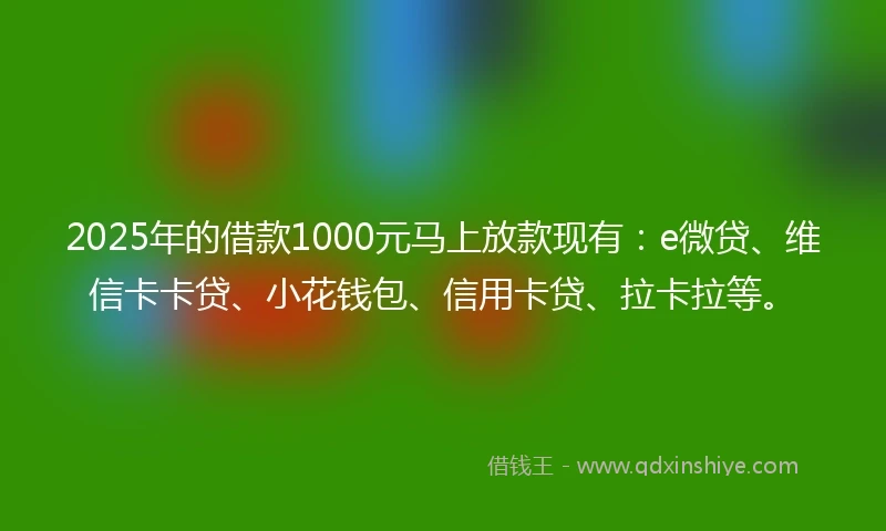 2025年的借款1000元马上放款现有：e微贷、维信卡卡贷、小花钱包、信用卡贷、拉卡拉等。