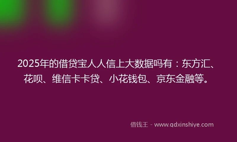 2025年的借贷宝人人信上大数据吗有：东方汇、花呗、维信卡卡贷、小花钱包、京东金融等。