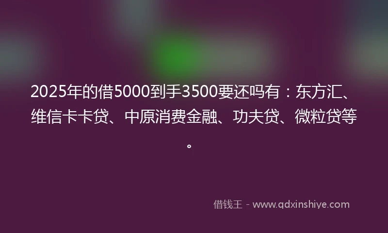2025年的借5000到手3500要还吗有：东方汇、维信卡卡贷、中原消费金融、功夫贷、微粒贷等。