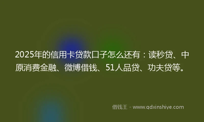 2025年的信用卡贷款口子怎么还有：读秒贷、中原消费金融、微博借钱、51人品贷、功夫贷等。