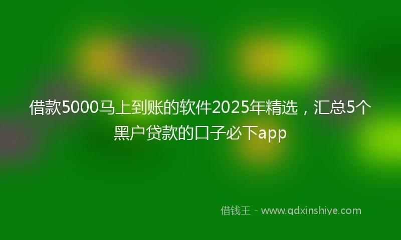 借款5000马上到账的软件2025年精选，汇总5个黑户贷款的口子必下app