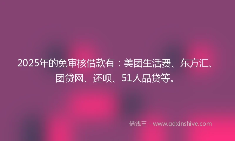2025年的免审核借款有：美团生活费、东方汇、团贷网、还呗、51人品贷等。
