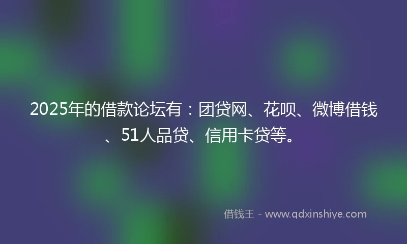 2025年的借款论坛有：团贷网、花呗、微博借钱、51人品贷、信用卡贷等。
