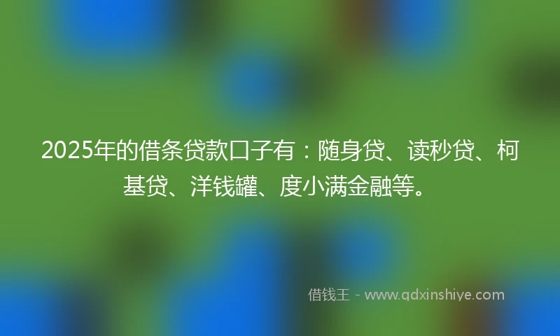 2025年的借条贷款口子有：随身贷、读秒贷、柯基贷、洋钱罐、度小满金融等。