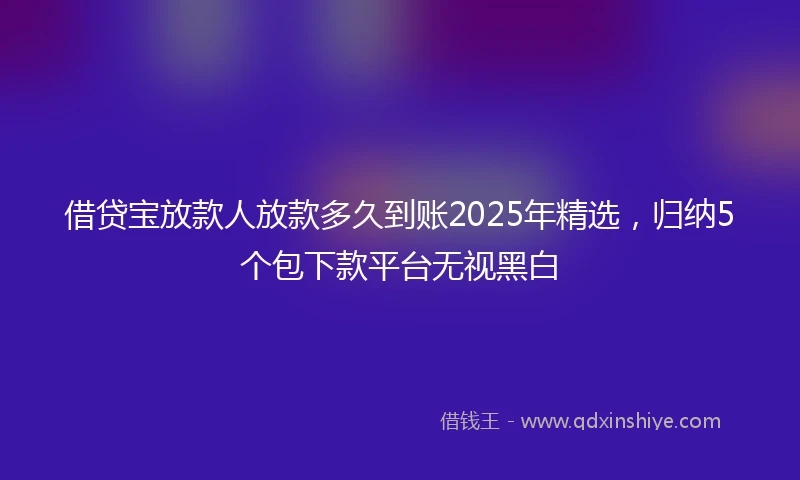 借贷宝放款人放款多久到账2025年精选，归纳5个包下款平台无视黑白
