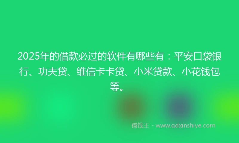 2025年的借款必过的软件有哪些有：平安口袋银行、功夫贷、维信卡卡贷、小米贷款、小花钱包等。
