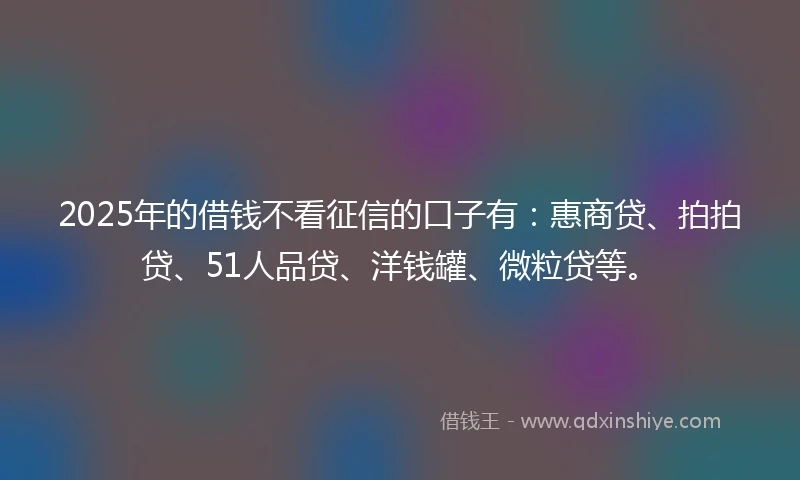 2025年的借钱不看征信的口子有：惠商贷、拍拍贷、51人品贷、洋钱罐、微粒贷等。