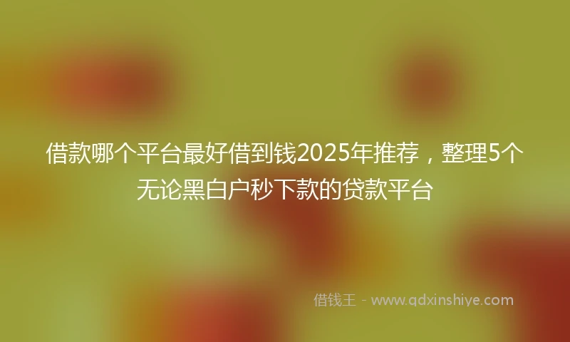 借款哪个平台最好借到钱2025年推荐，整理5个无论黑白户秒下款的贷款平台