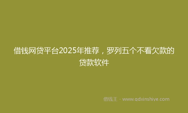 借钱网贷平台2025年推荐，罗列五个不看欠款的贷款软件