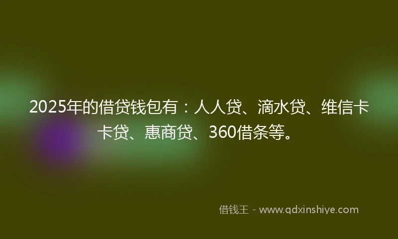 2025年的借贷钱包有：人人贷、滴水贷、维信卡卡贷、惠商贷、360借条等。