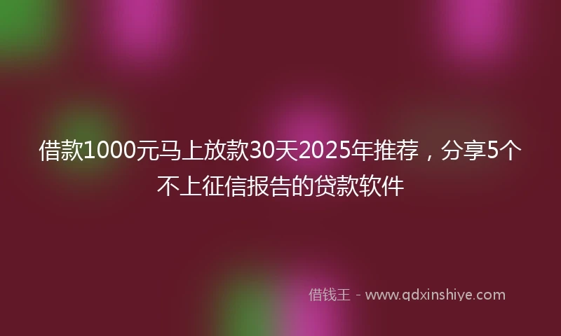 借款1000元马上放款30天2025年推荐，分享5个不上征信报告的贷款软件