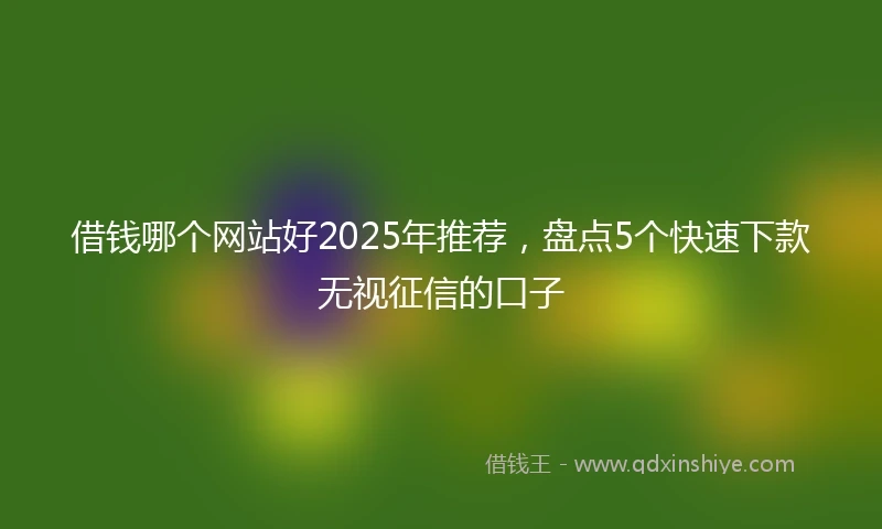 借钱哪个网站好2025年推荐，盘点5个快速下款无视征信的口子