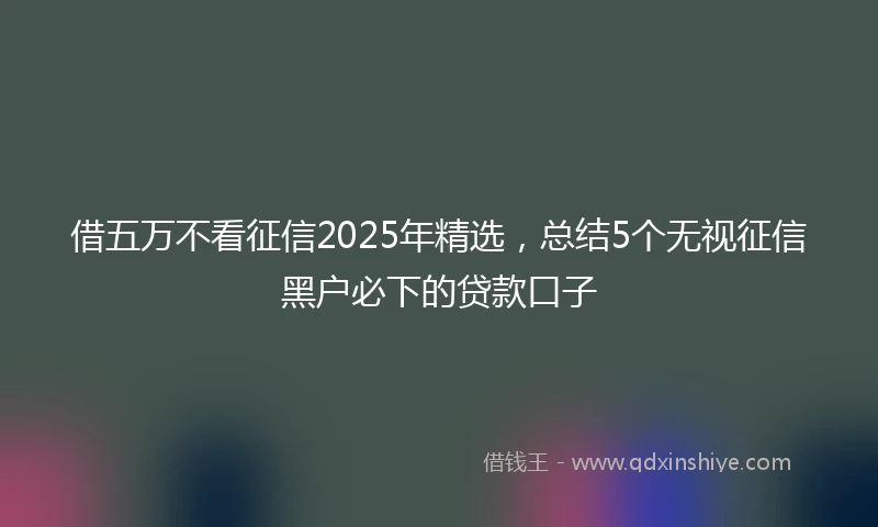 借五万不看征信2025年精选，总结5个无视征信黑户必下的贷款口子