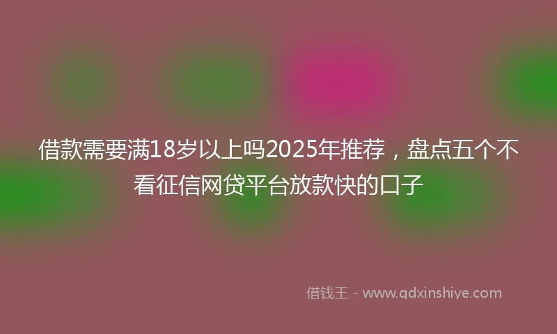 借款需要满18岁以上吗2025年推荐，盘点五个不看征信网贷平台放款快的口子