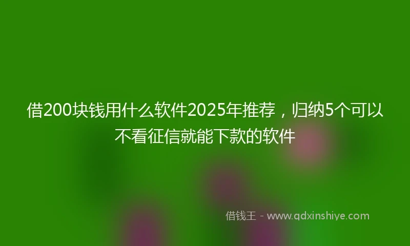 借200块钱用什么软件2025年推荐,归纳5个可以不看征信就能下款的软件