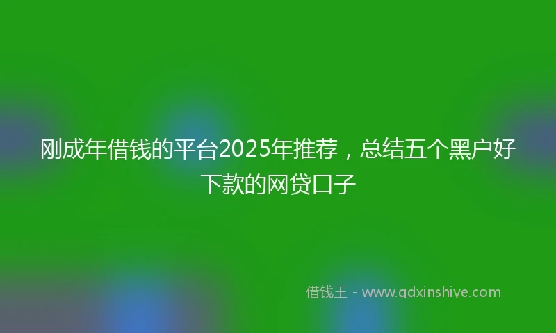 刚成年借钱的平台2025年推荐，总结五个黑户好下款的网贷口子