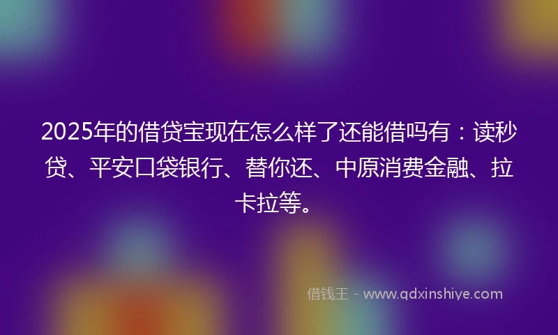 2025年的借贷宝现在怎么样了还能借吗有：读秒贷、平安口袋银行、替你还、中原消费金融、拉卡拉等。