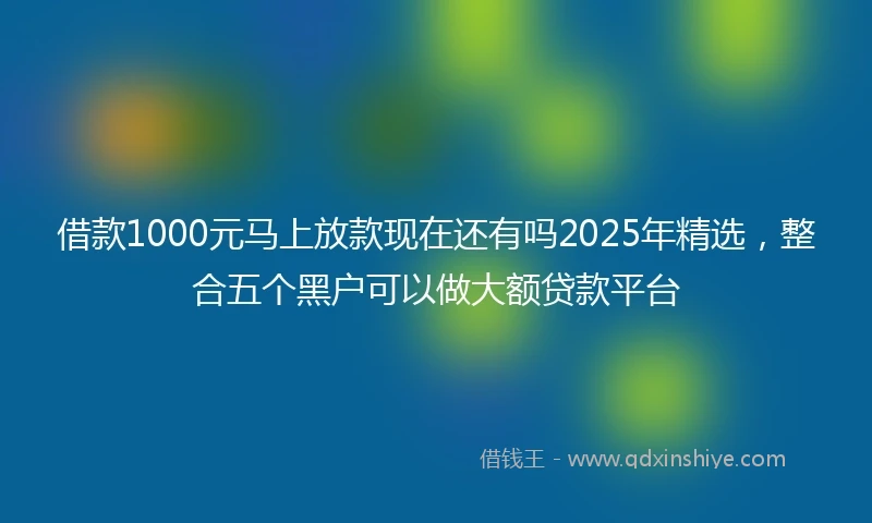 借款1000元马上放款现在还有吗2025年精选，整合五个黑户可以做大额贷款平台