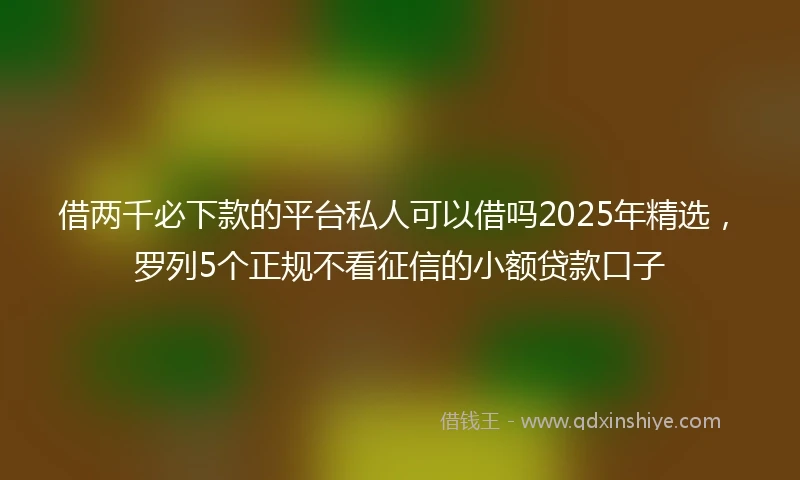 借两千必下款的平台私人可以借吗2025年精选，罗列5个正规不看征信的小额贷款口子