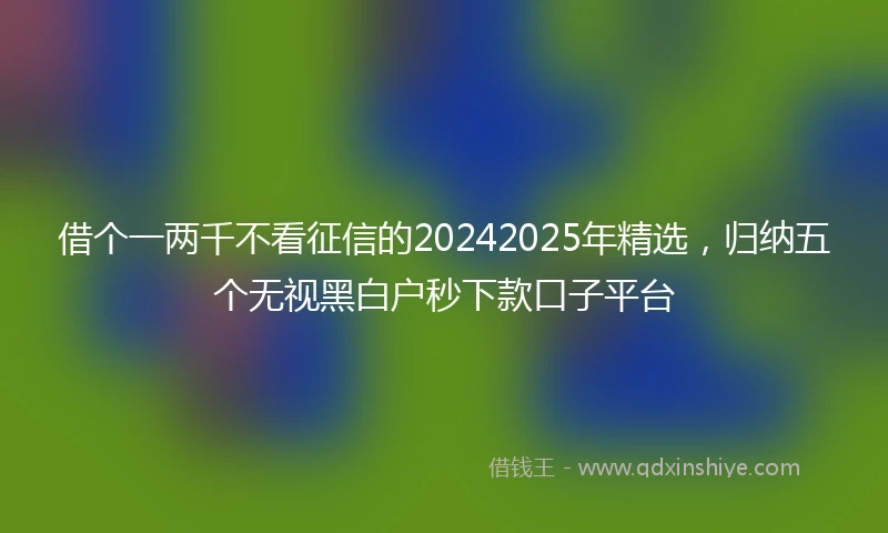 借个一两千不看征信的20242025年精选，归纳五个无视黑白户秒下款口子平台