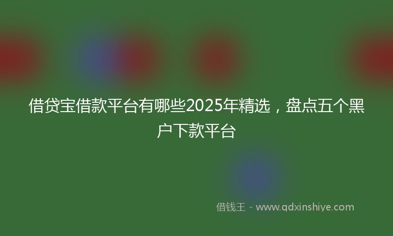 借贷宝借款平台有哪些2025年精选，盘点五个黑户下款平台