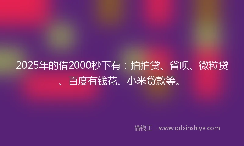 2025年的借2000秒下有：拍拍贷、省呗、微粒贷、百度有钱花、小米贷款等。
