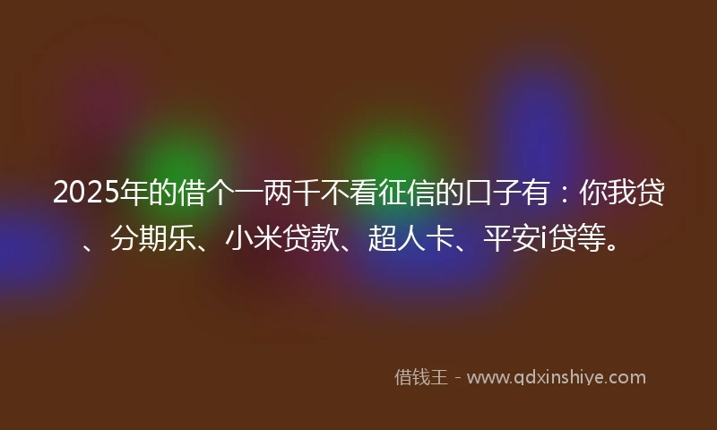 2025年的借个一两千不看征信的口子有：你我贷、分期乐、小米贷款、超人卡、平安i贷等。