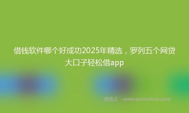 借钱软件哪个好成功2025年精选，罗列五个网贷大口子轻松借app