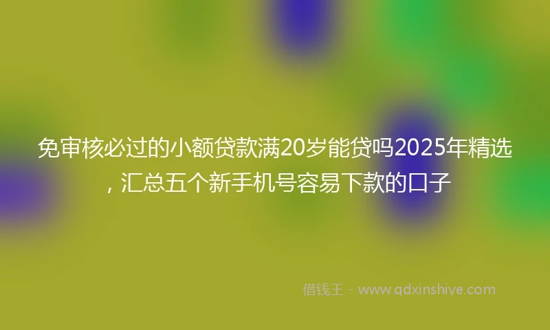 免审核必过的小额贷款满20岁能贷吗2025年精选，汇总五个新手机号容易下款的口子