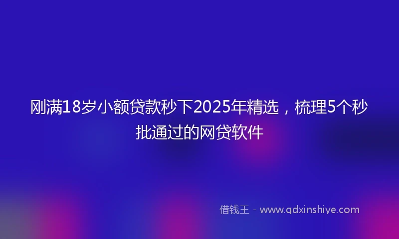 刚满18岁小额贷款秒下2025年精选，梳理5个秒批通过的网贷软件