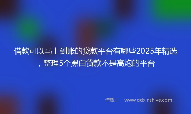 借款可以马上到账的贷款平台有哪些2025年精选，整理5个黑白贷款不是高炮的平台