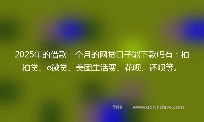 2025年的借款一个月的网贷口子能下款吗有：拍拍贷、e微贷、美团生活费、花呗、还呗等。