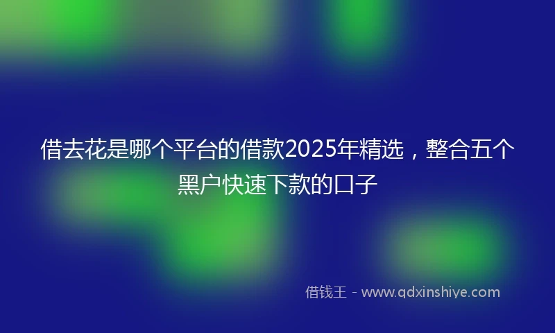 借去花是哪个平台的借款2025年精选，整合五个黑户快速下款的口子