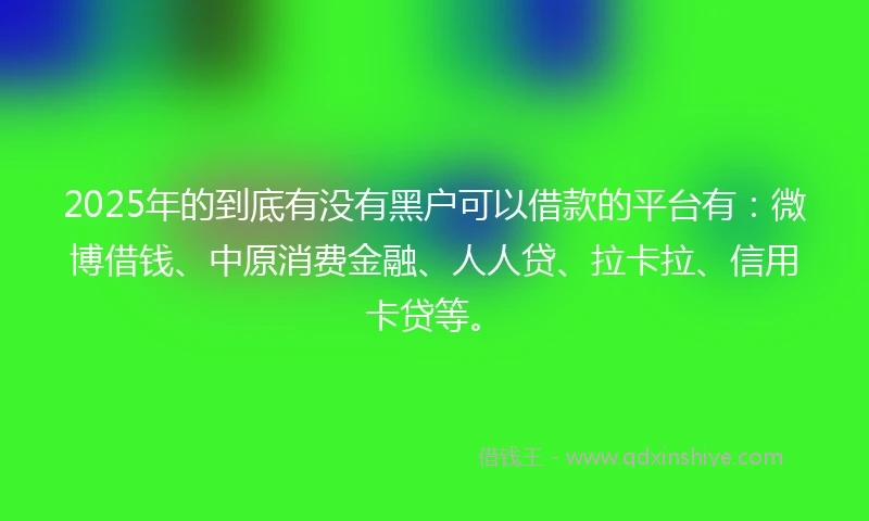 2025年的到底有没有黑户可以借款的平台有：微博借钱、中原消费金融、人人贷、拉卡拉、信用卡贷等。