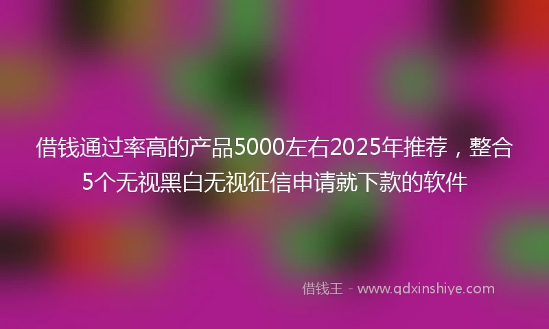 借钱通过率高的产品5000左右2025年推荐，整合5个无视黑白无视征信申请就下款的软件