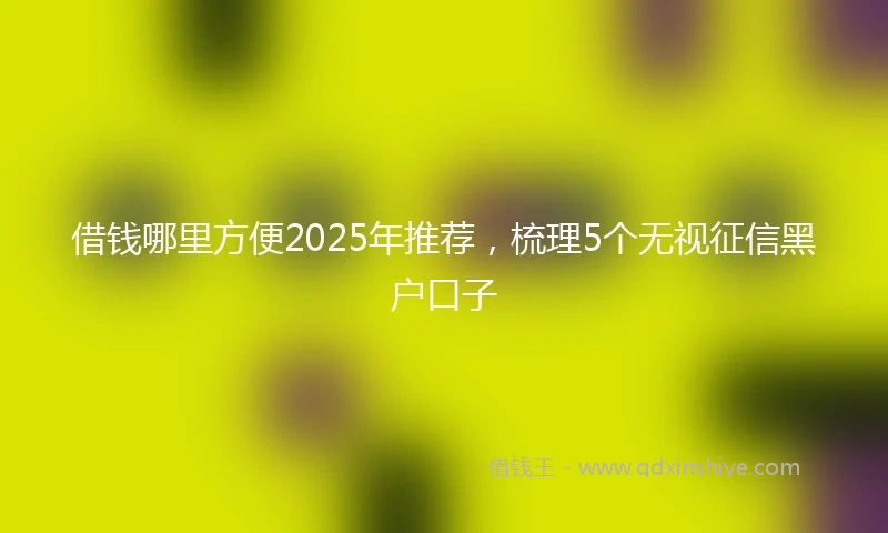 借钱哪里方便2025年推荐，梳理5个无视征信黑户口子