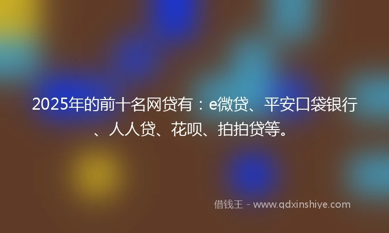 2025年的前十名网贷有：e微贷、平安口袋银行、人人贷、花呗、拍拍贷等。