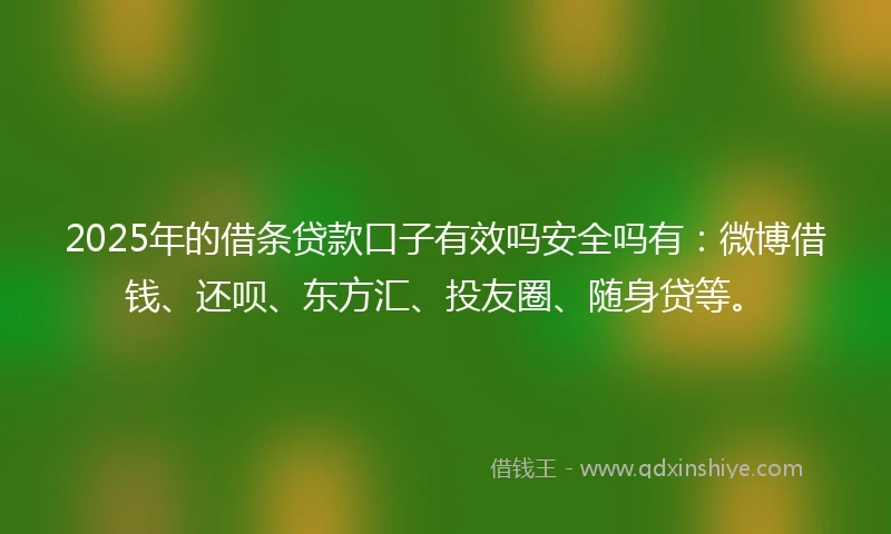 2025年的借条贷款口子有效吗安全吗有：微博借钱、还呗、东方汇、投友圈、随身贷等。