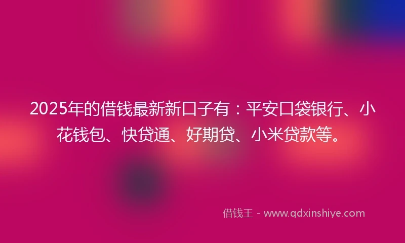2025年的借钱最新新口子有：平安口袋银行、小花钱包、快贷通、好期贷、小米贷款等。