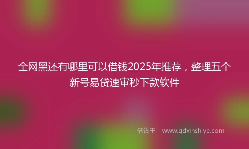 全网黑还有哪里可以借钱2025年推荐，整理五个新号易贷速审秒下款软件