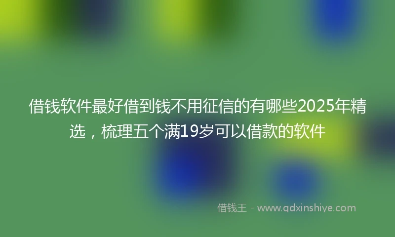 借钱软件最好借到钱不用征信的有哪些2025年精选，梳理五个满19岁可以借款的软件