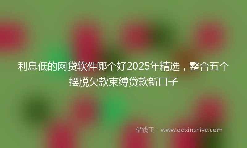 利息低的网贷软件哪个好2025年精选，整合五个摆脱欠款束缚贷款新口子
