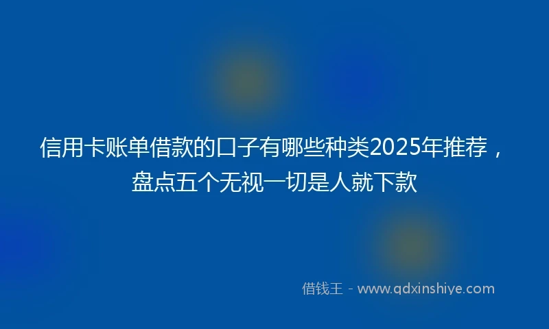 信用卡账单借款的口子有哪些种类2025年推荐，盘点五个无视一切是人就下款