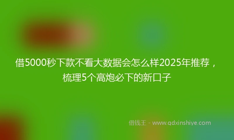 借5000秒下款不看大数据会怎么样2025年推荐，梳理5个高炮必下的新口子