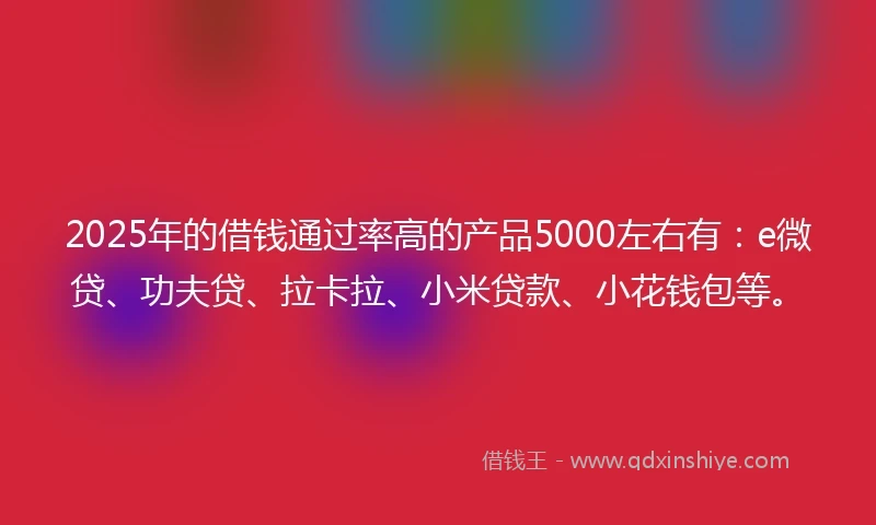 2025年的借钱通过率高的产品5000左右有：e微贷、功夫贷、拉卡拉、小米贷款、小花钱包等。