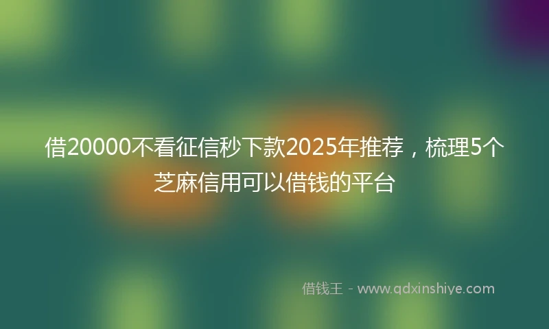 借20000不看征信秒下款2025年推荐,梳理5个芝麻信用可以借钱的平台