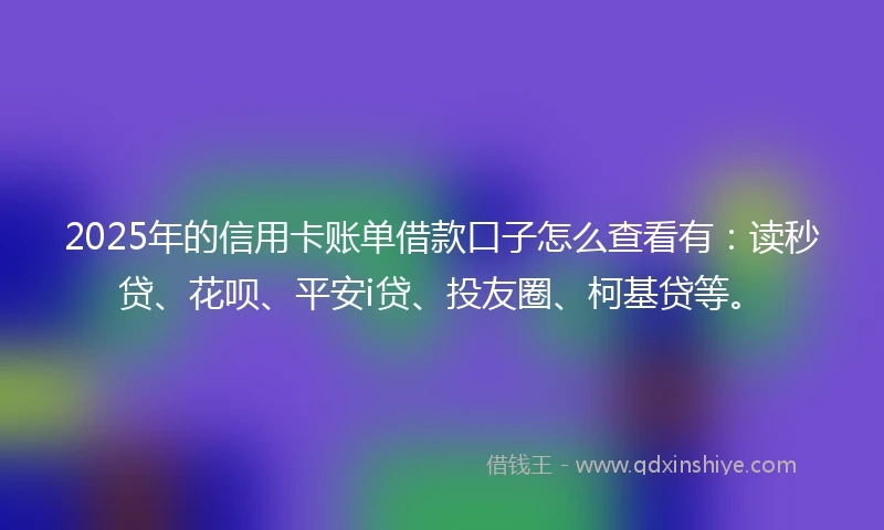 2025年的信用卡账单借款口子怎么查看有:读秒贷、花呗、平安i贷、投友圈、柯基贷等。