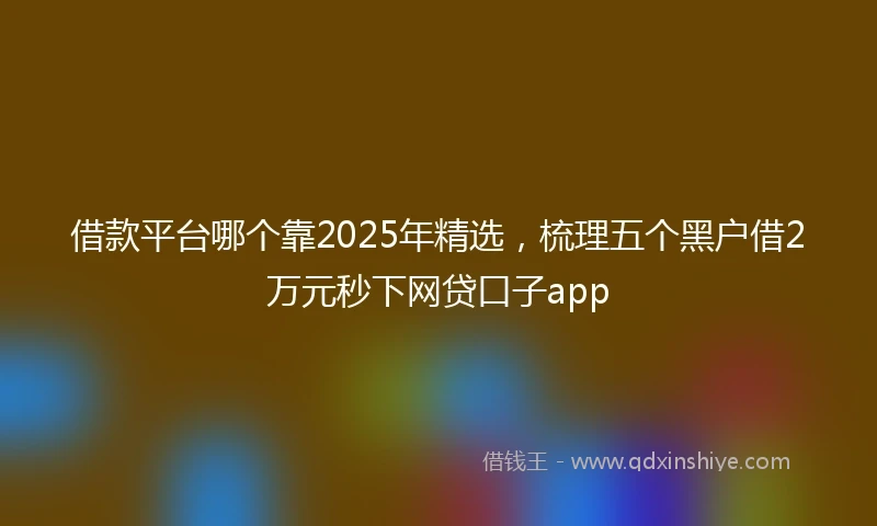 借款平台哪个靠2025年精选，梳理五个黑户借2万元秒下网贷口子app